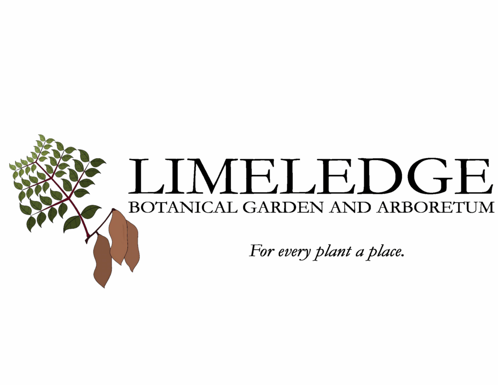 Limeledge: For every plant a place